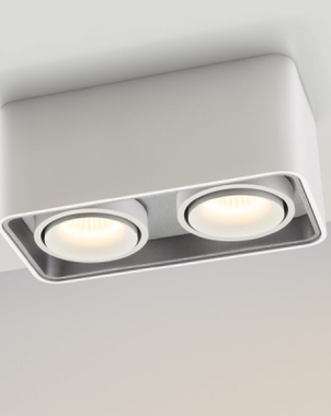 Светодиодный потолочный накладной светильник ST-CEILING-RECT-2x12