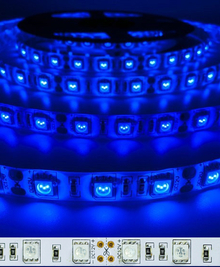 Светодиодные ленты ST 12V 5050 60 led 10mm IP22 синий